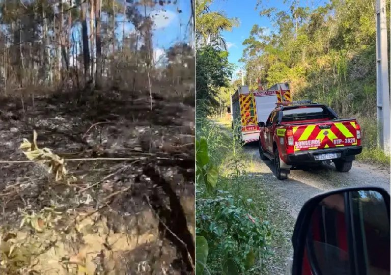 Incêndio de grandes proporções em vegetação mobiliza bombeiros