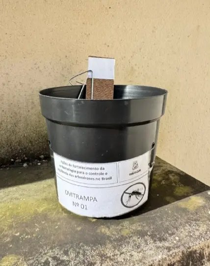 Brusque adota novas tecnologias para o combate ao Aedes aegypti