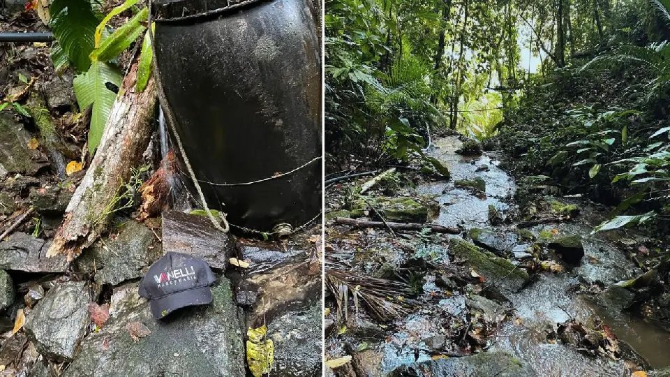 Homem é atingido por tronco de árvore durante ventania em Botuvera