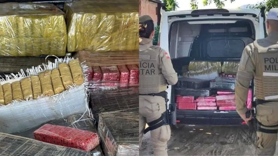 PM tira de circulação meia tonelada de maconha e prende suspeito
