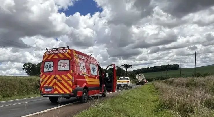 Pedestre é atropelado por caminhão após se lançar contra veículo em rodovia