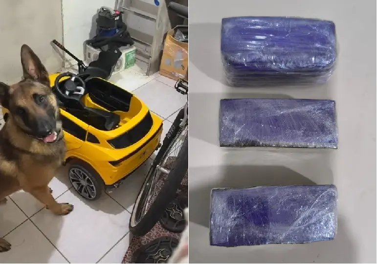 Maconha é encontrada escondida em carro elétrico infantil