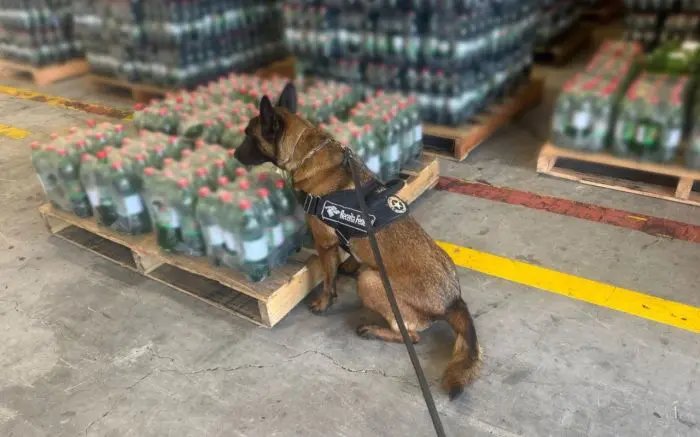 Receita Federal apreende cocaína líquida escondida em garrafas de refrigerante em Navegantes