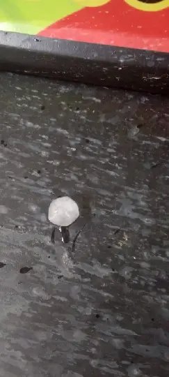 (VÍDEO) Granizo cai em bairros de Brusque durante chuva rápida