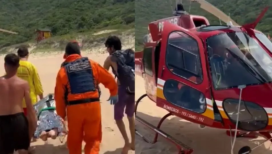 Mulher é mordida por capivara enquanto nadava na praia