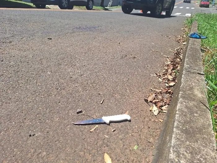 Idoso tenta matar enteada a facadas e é preso pela PM