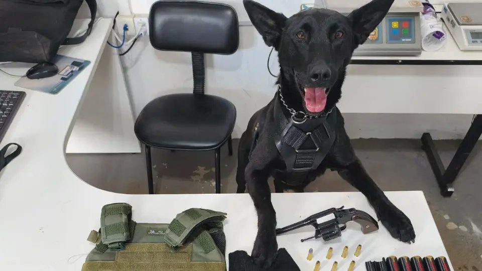 Carro roubado, armas e colete balístico: operação da Guarda Municipal termina com um preso