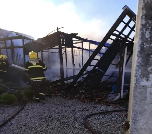 Mesmo com casa destruída, animais são resgatados do fogo