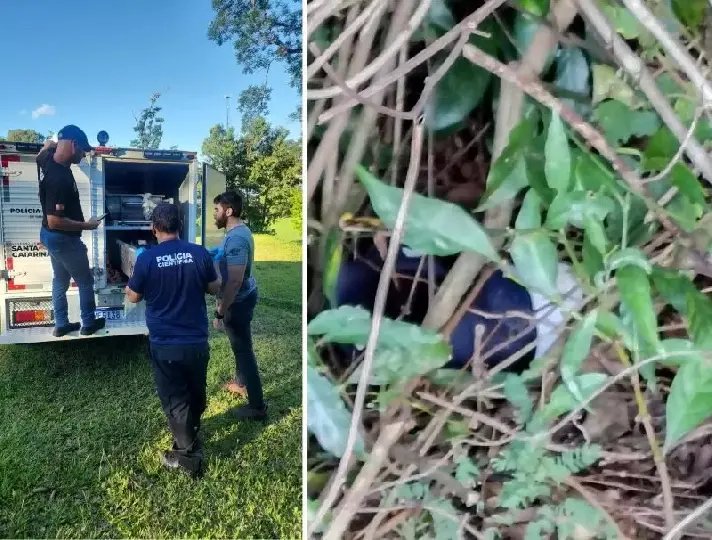 Corpo de adolescente é encontrado decapitado em área de mata