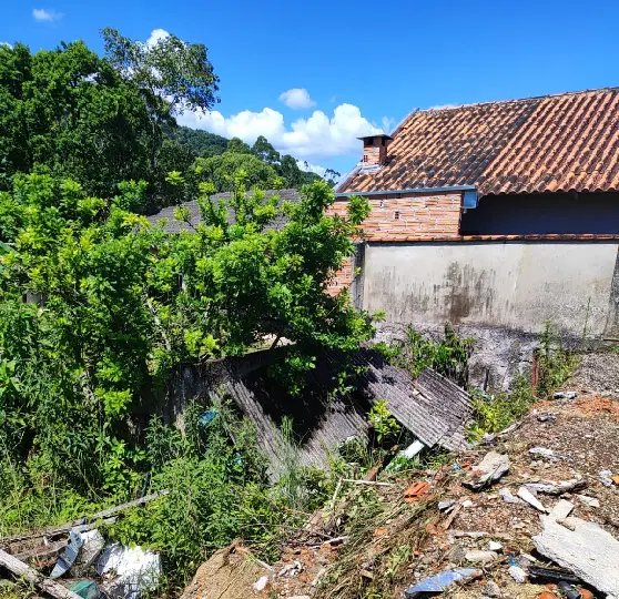 Ataque de abelhas deixa homem ferido durante limpeza de terreno no Bateias
