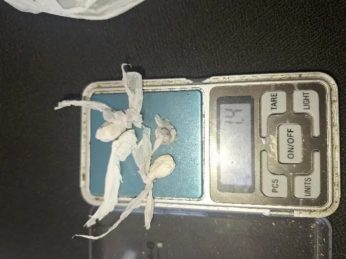 Homem em surto ameaça matar família em Brusque
