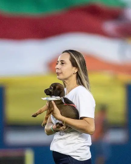 Campanha BrusCÃO arrecada 189kg de ração para cães