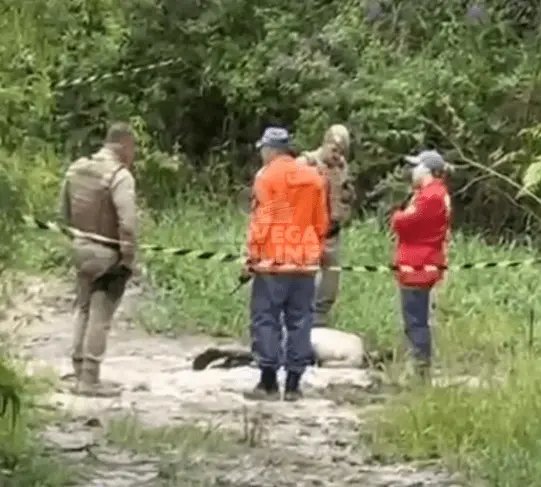 Homem é encontrado morto com 18 marcas de tiros