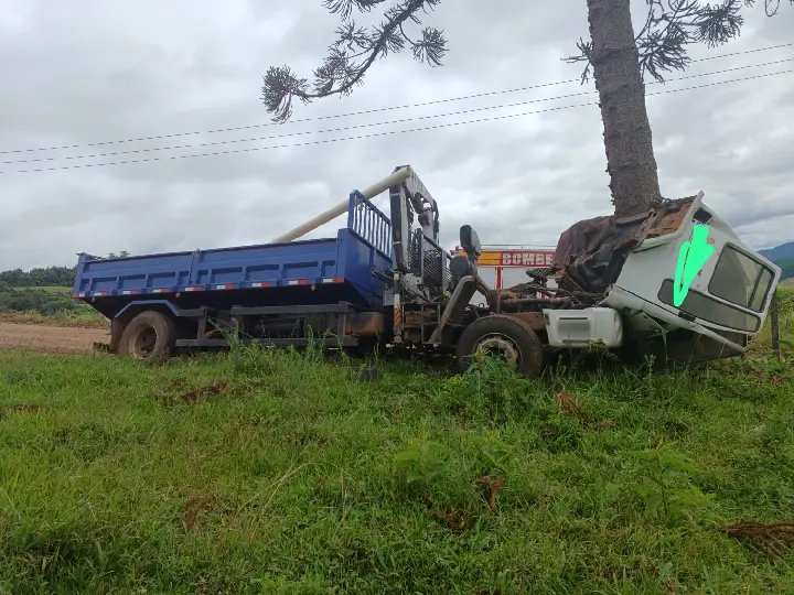 Motorista morre ao bater caminhão contra árvore