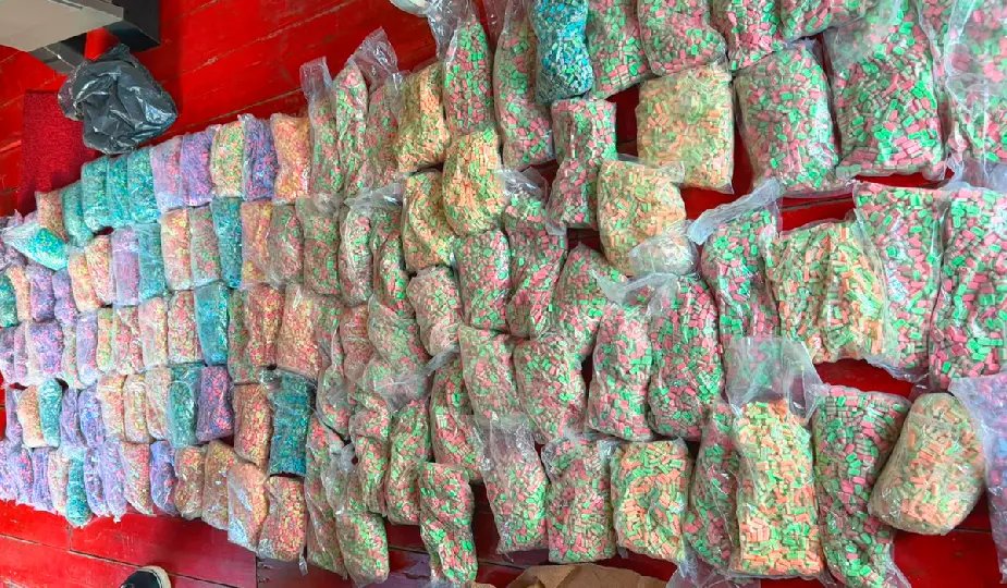 PM apreende 120 mil comprimidos de ecstasy avaliados em R$ 6 milhões