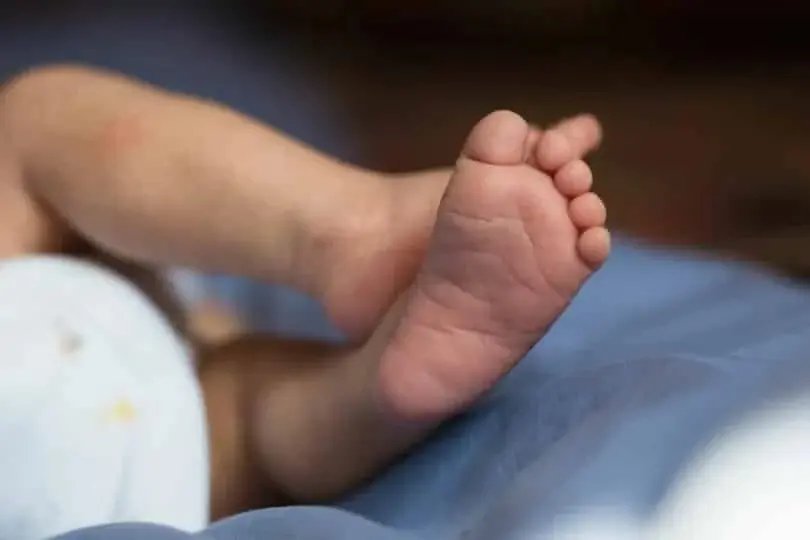 Mulher é presa após tentar matar a própria filha recém-nascida em SC