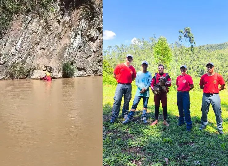 (VÍDEO) Cadela é resgatada de área de risco em Botuverá