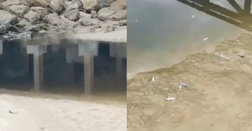 Denúncia de poluição em praia reacende debate sobre saneamento