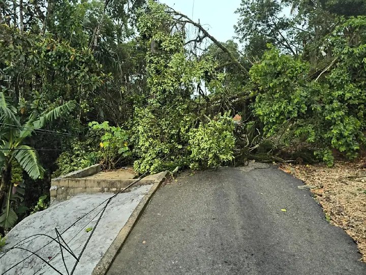 Chuva forte provoca 12 ocorrências e alagamentos em Brusque