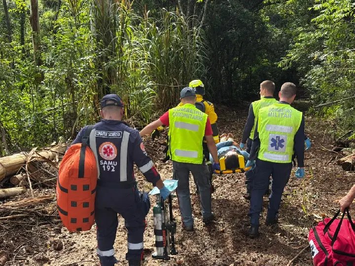 Trabalhador é atingido por árvore e fica ferido nas pernas