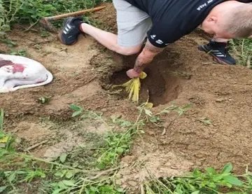 Homem é preso após matar cães a machadadas