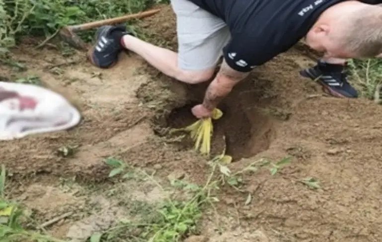 Homem é preso após matar cães com golpes de machado